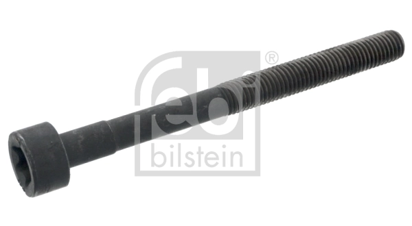 Cylinder Head Bolt
